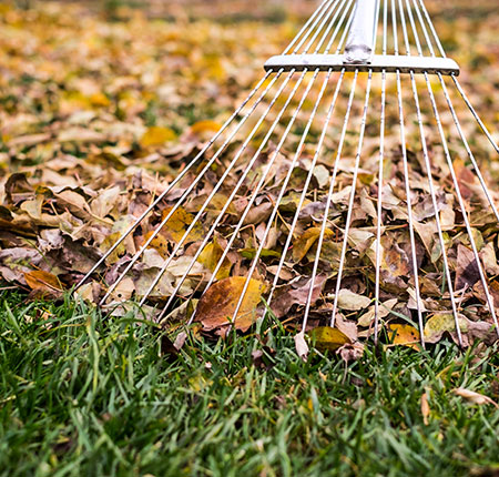 Ramassage de feuilles mortes près de Mons, Charleroi et Maubeuge