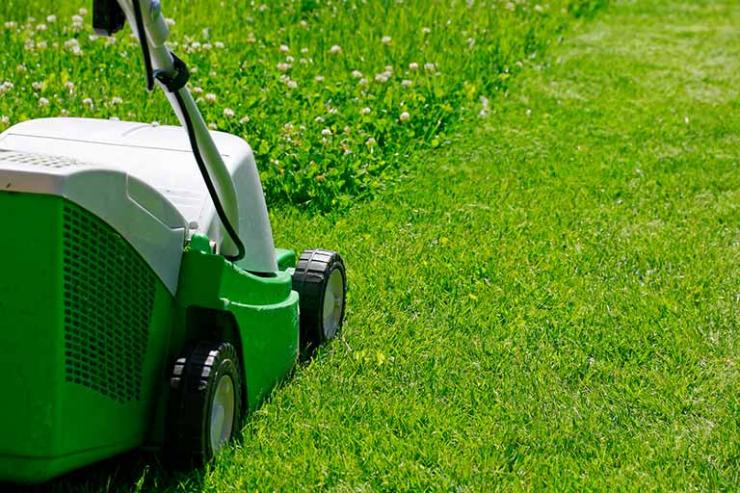 Scarification et tonte de pelouse près de Mons, Charleroi et Maubeuge